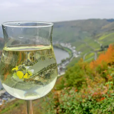 Lejlighed Mosel *