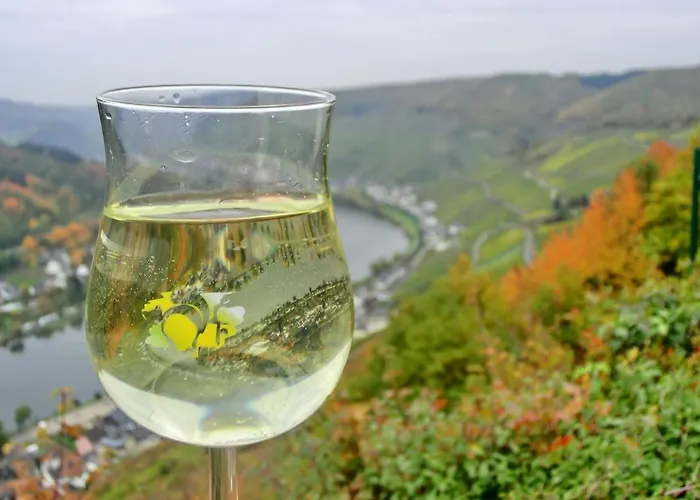 Apartamento Mosel *